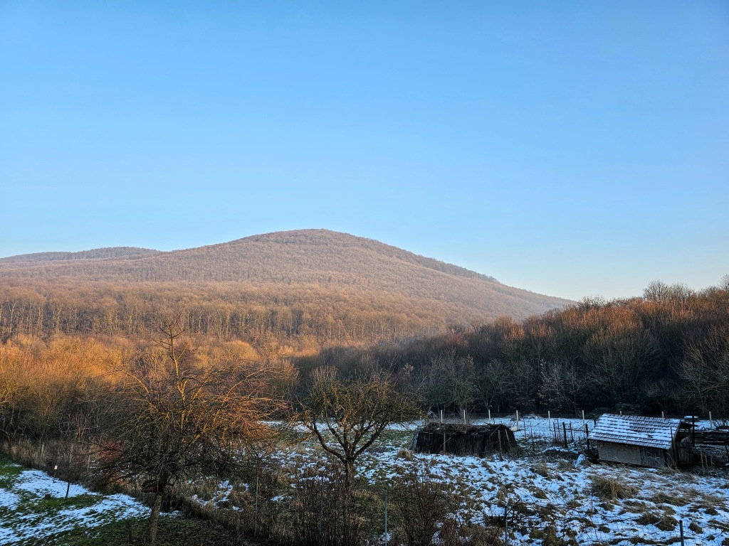 beillesztett kép