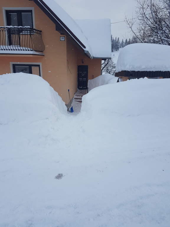 beillesztett kép