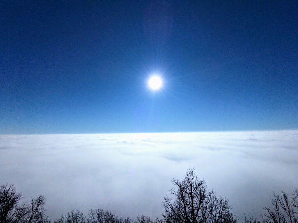 beillesztett kép