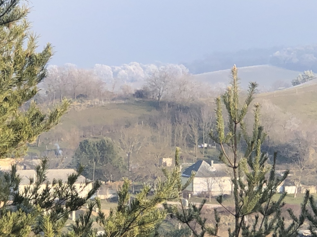 beillesztett kép