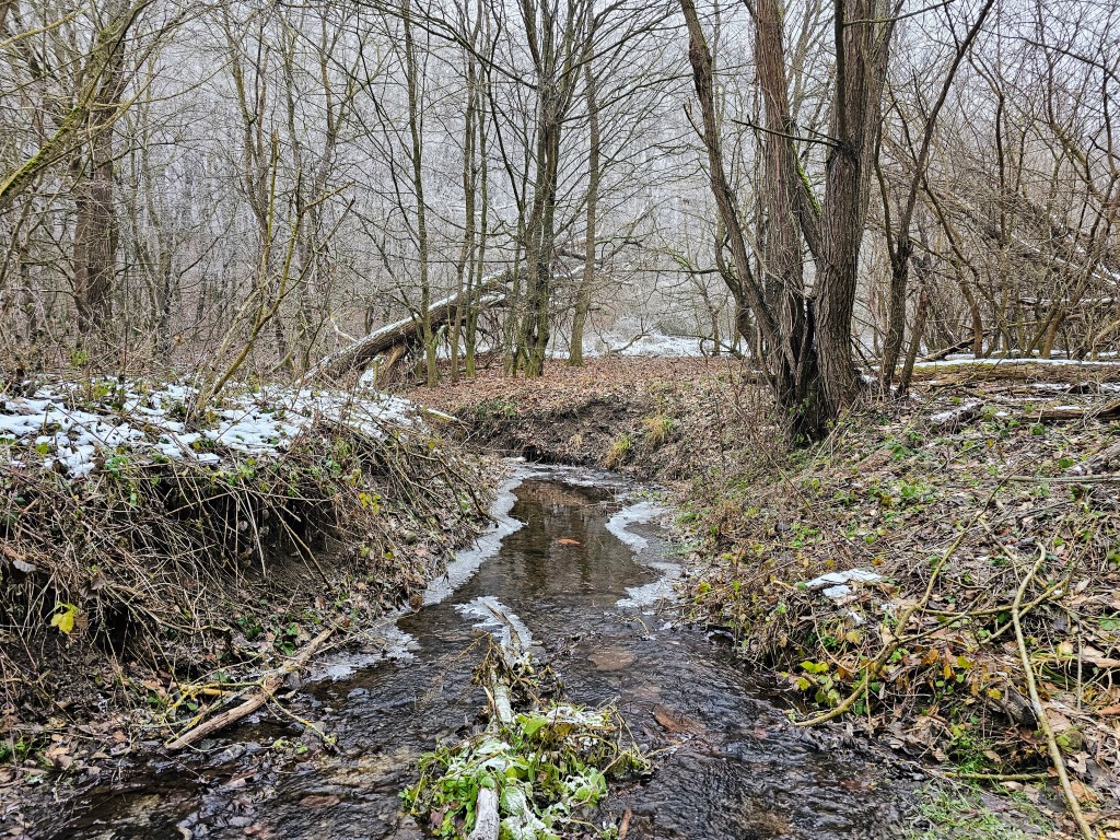 beillesztett kép