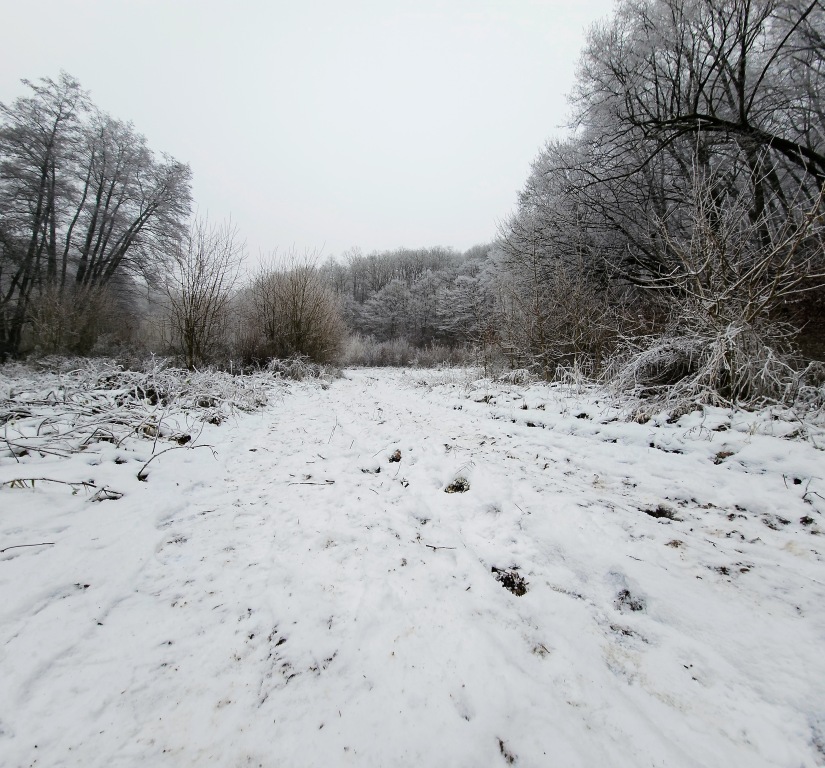 beillesztett kép