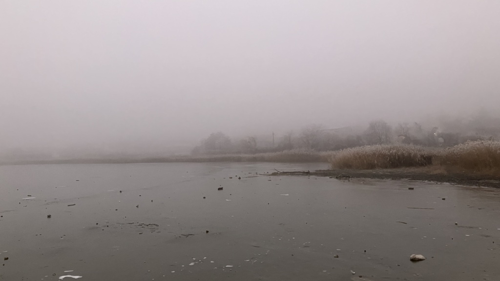 beillesztett kép