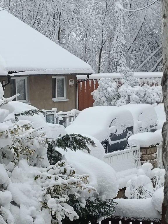 beillesztett kép