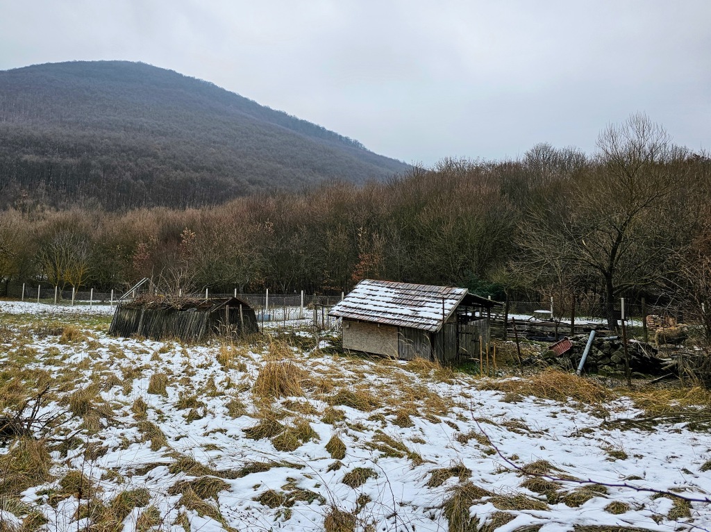 beillesztett kép
