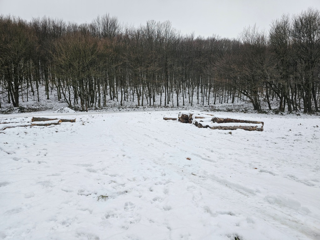 beillesztett kép