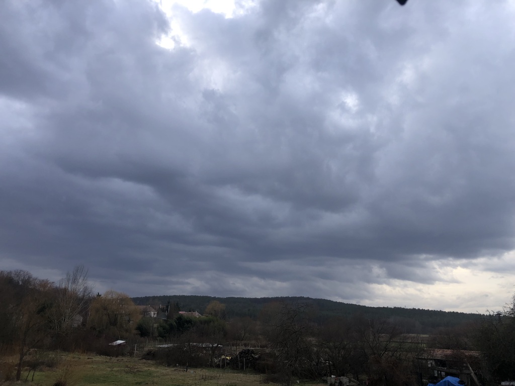 beillesztett kép