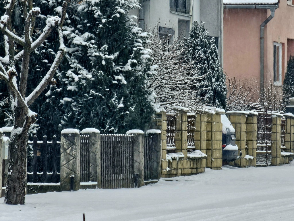 beillesztett kép