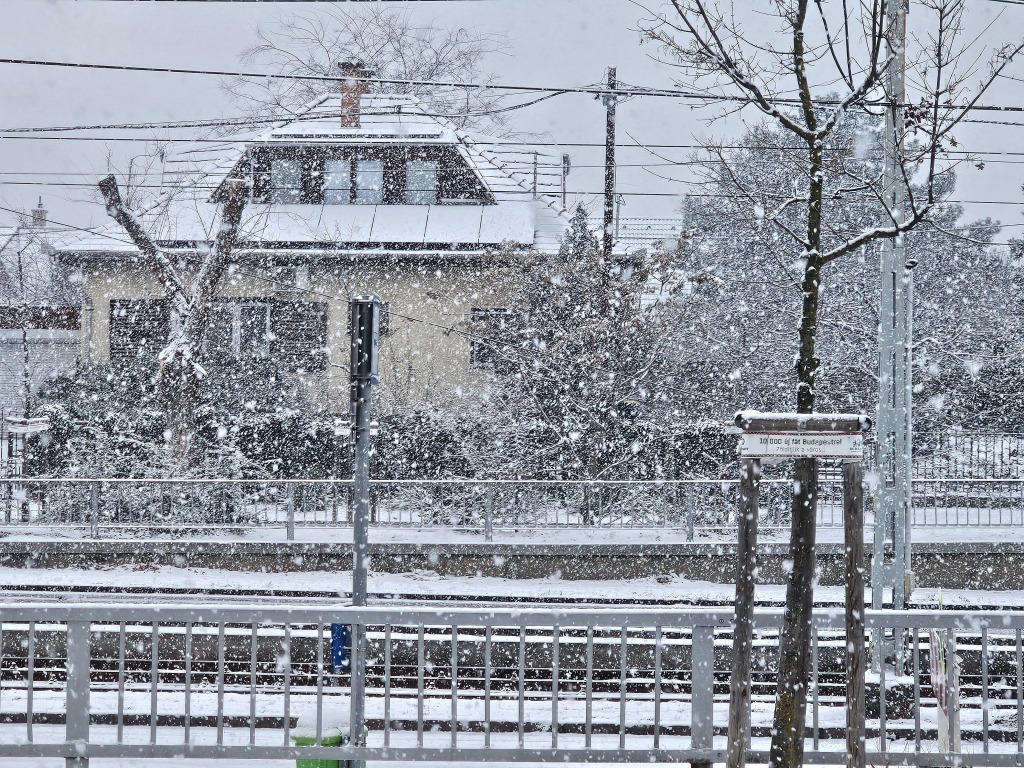 beillesztett kép