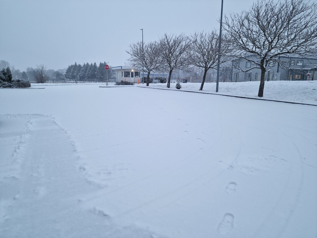 beillesztett kép