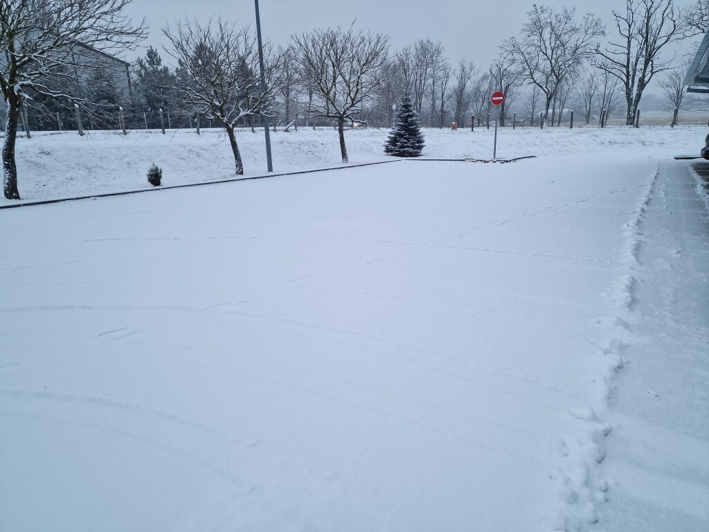 beillesztett kép