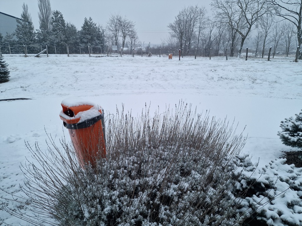 beillesztett kép