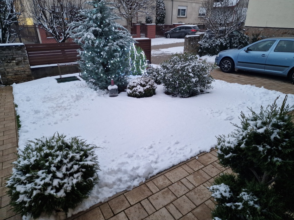 beillesztett kép