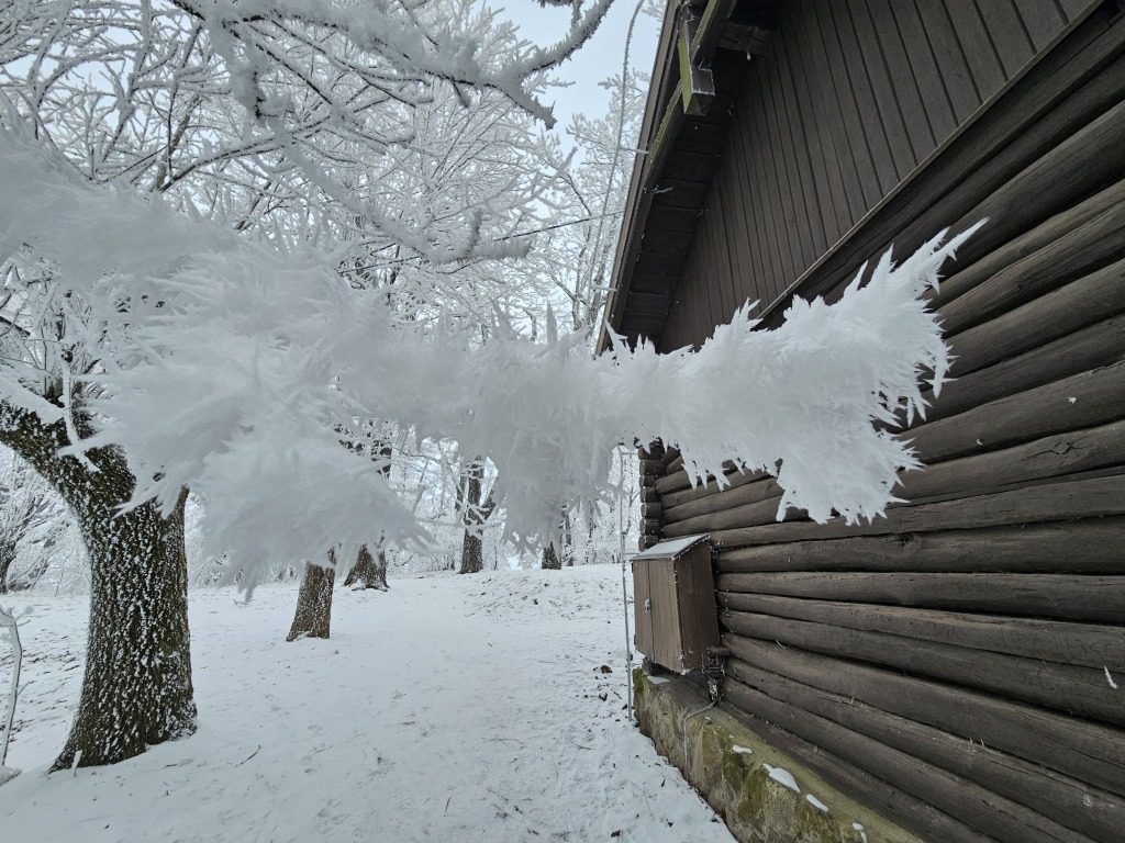 beillesztett kép