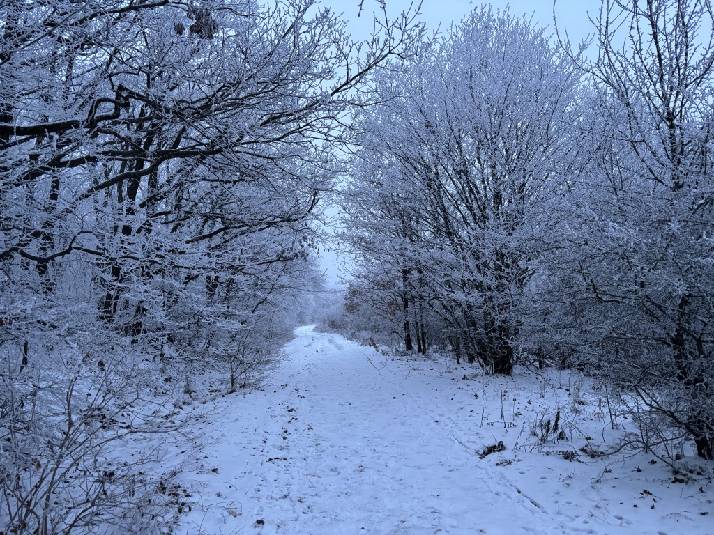beillesztett kép