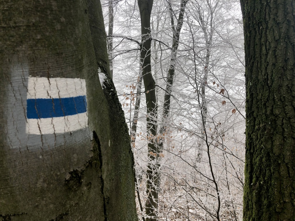 beillesztett kép