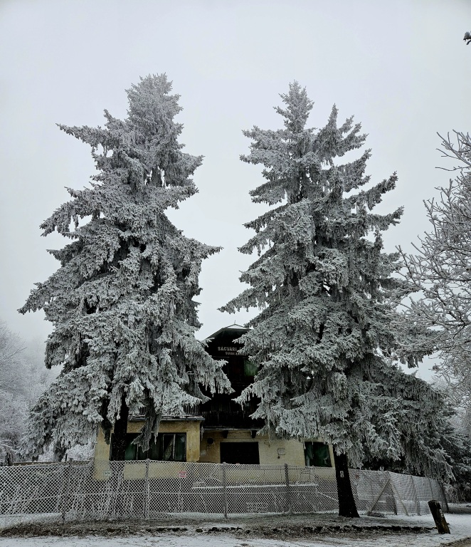beillesztett kép