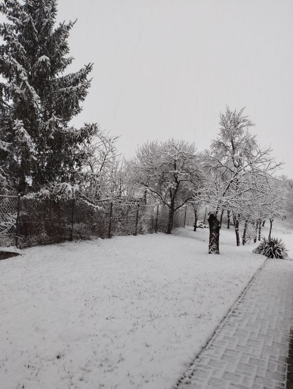 beillesztett kép