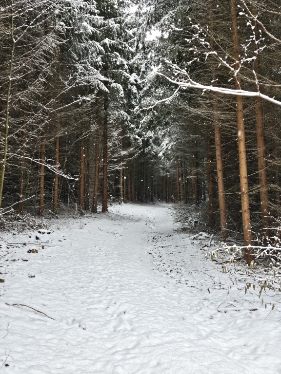 beillesztett kép