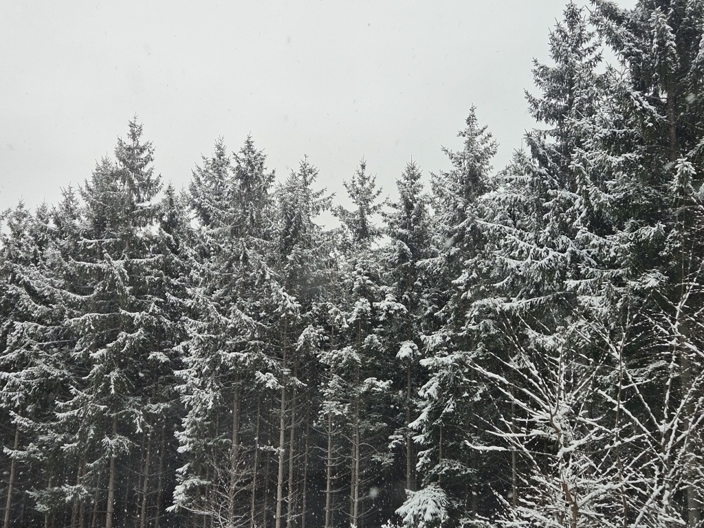 beillesztett kép