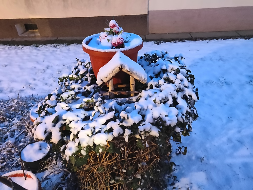 beillesztett kép