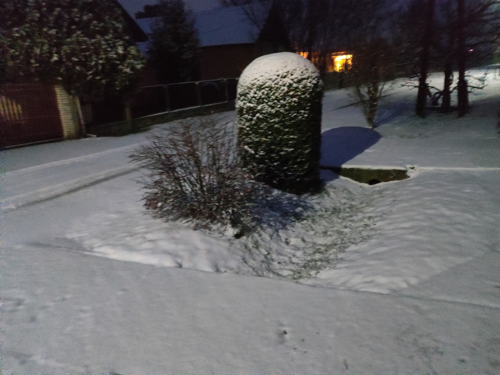 beillesztett kép