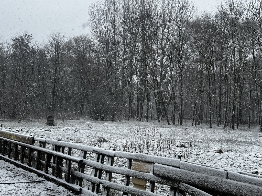 beillesztett kép