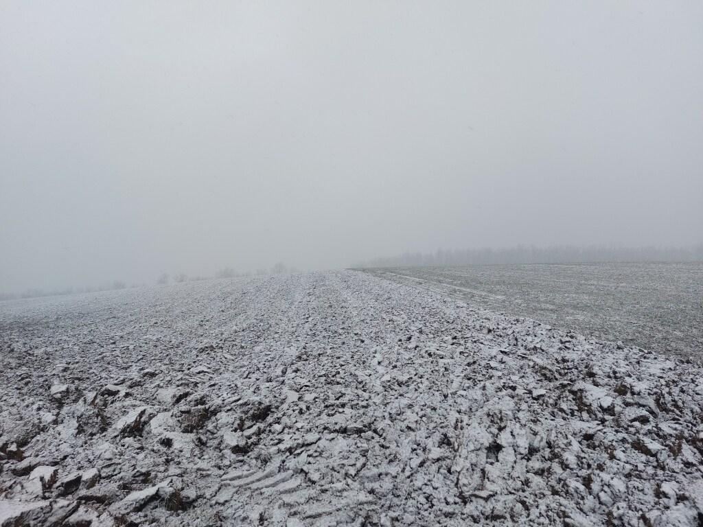 beillesztett kép