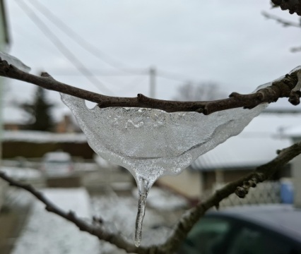 pic