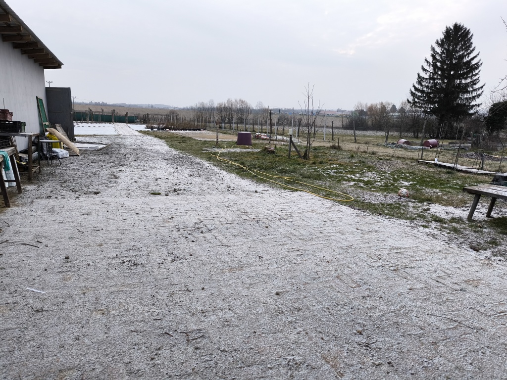 beillesztett kép
