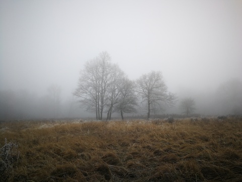 pic