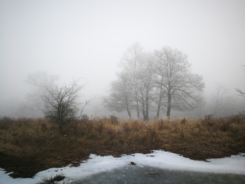pic