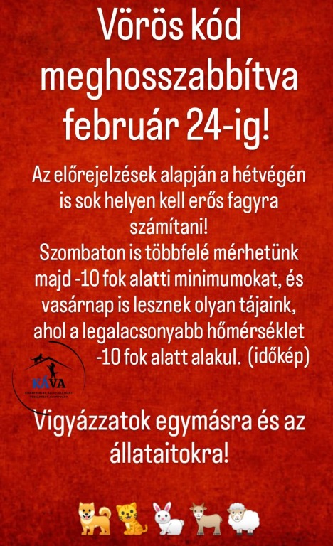 beillesztett kép
