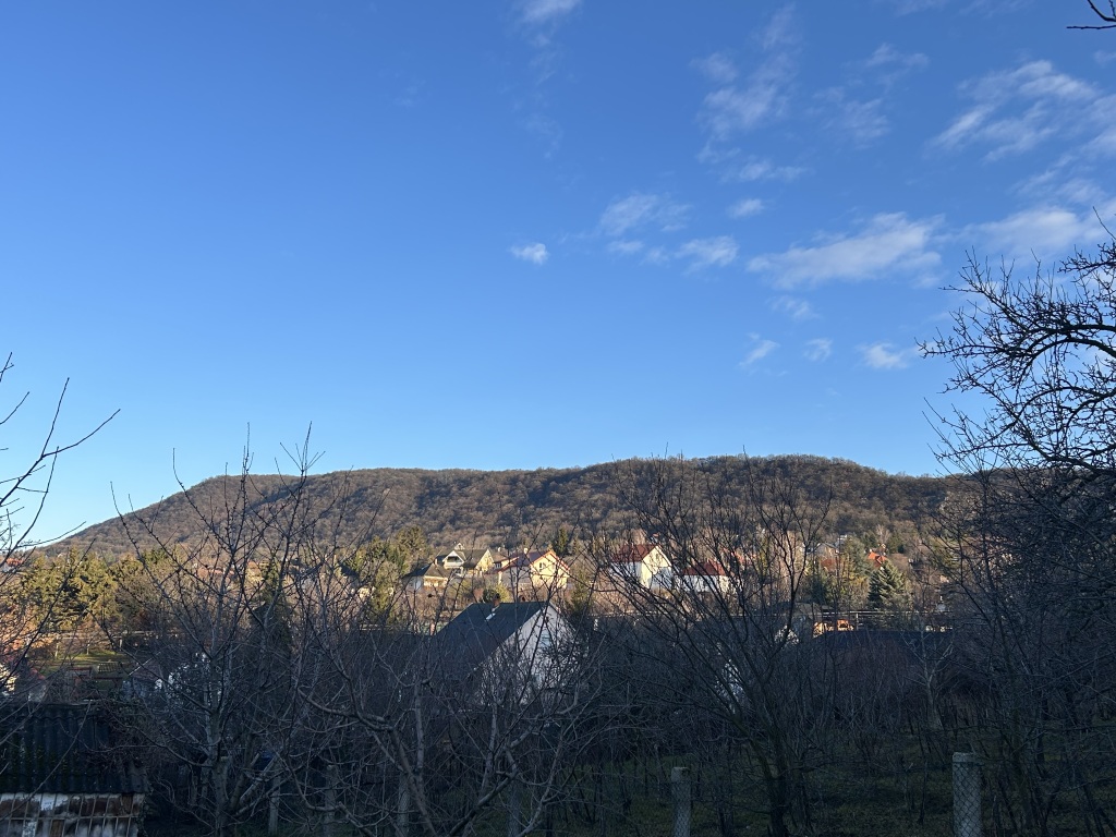 beillesztett kép