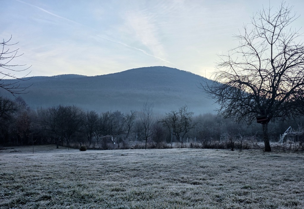 beillesztett kép