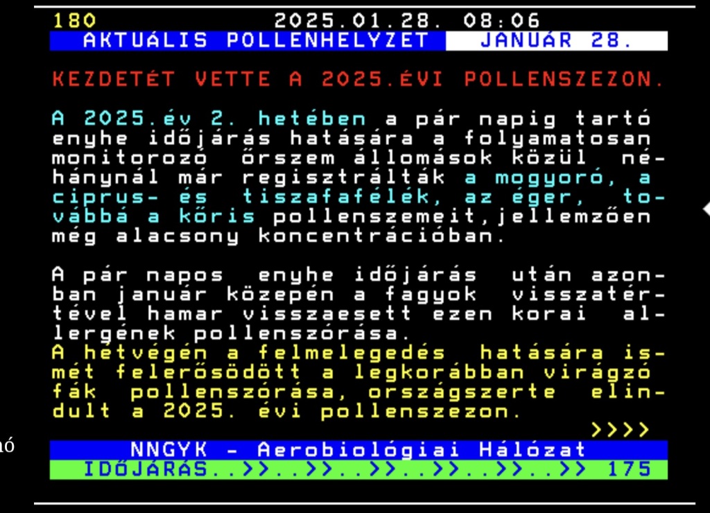 beillesztett kép