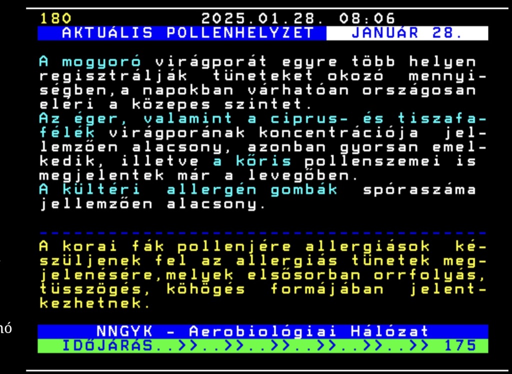 beillesztett kép