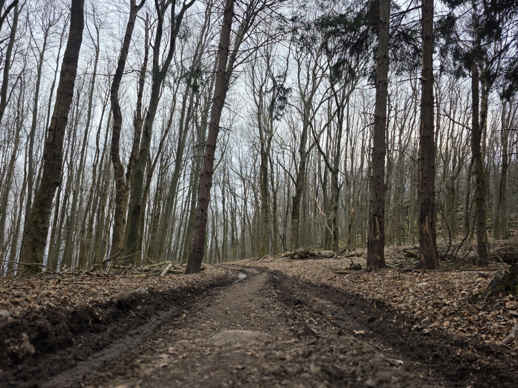 beillesztett kép