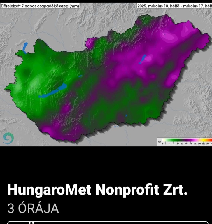 beillesztett kép