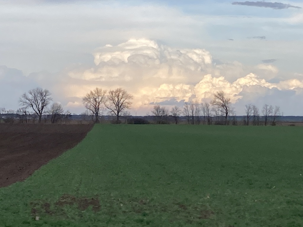 beillesztett kép