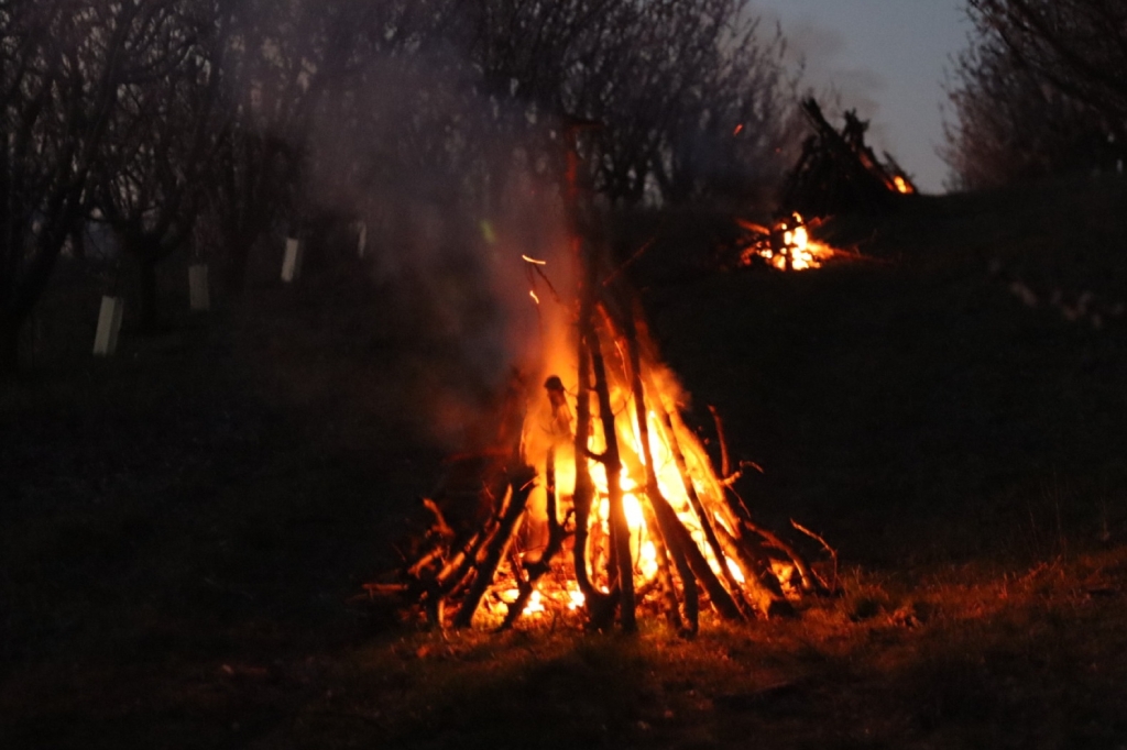 beillesztett kép