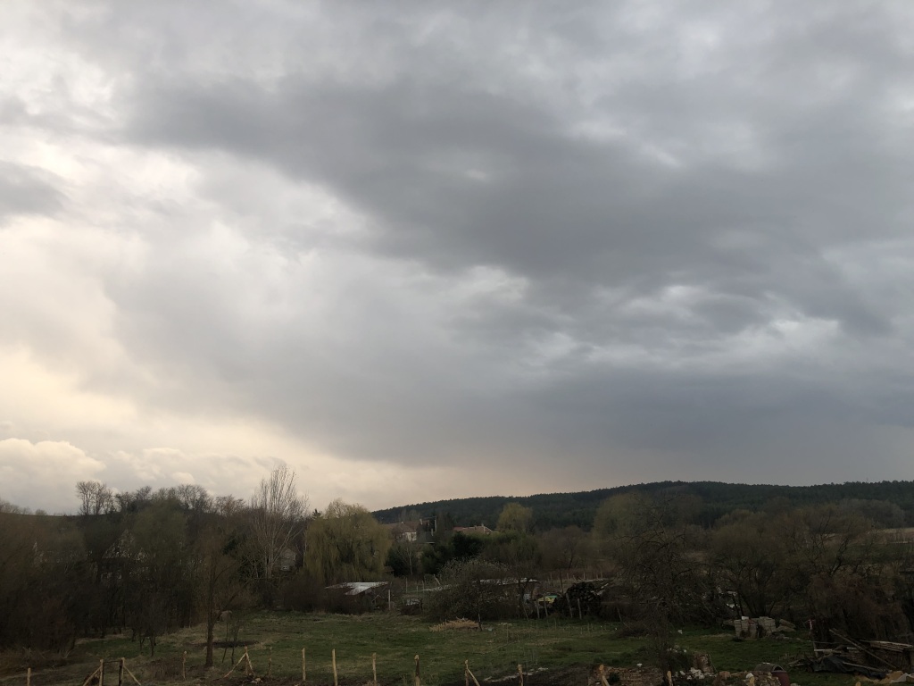 beillesztett kép