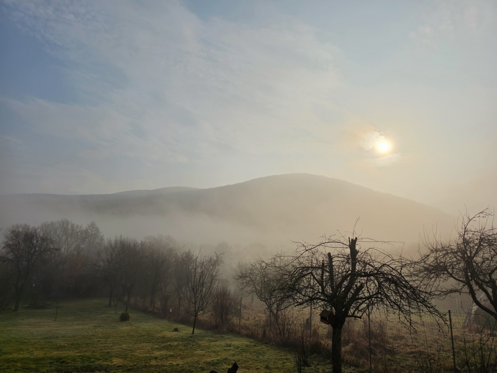 beillesztett kép