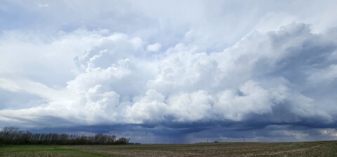 pic