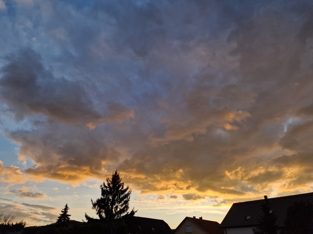 beillesztett kép