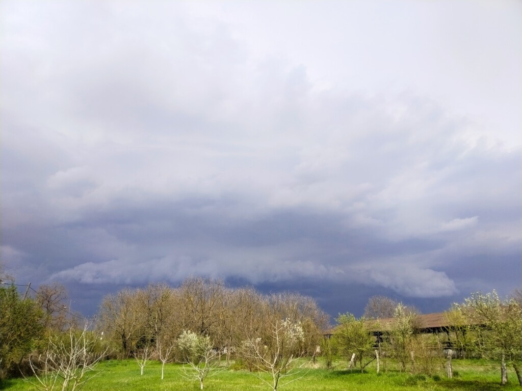 beillesztett kép
