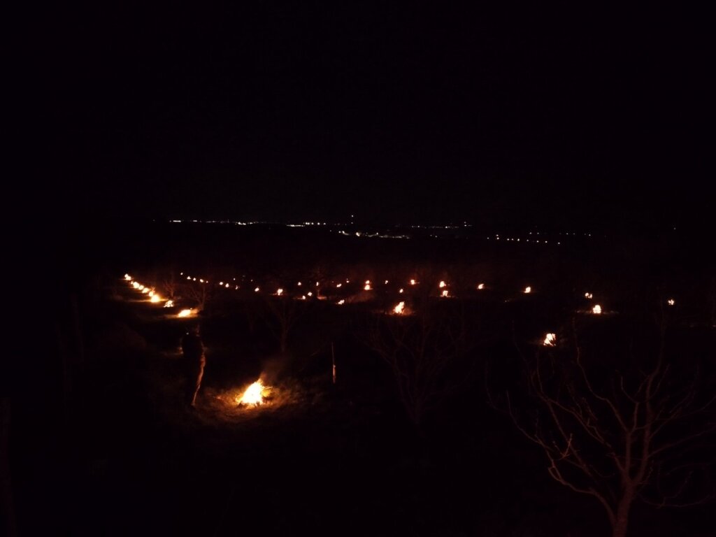 beillesztett kép