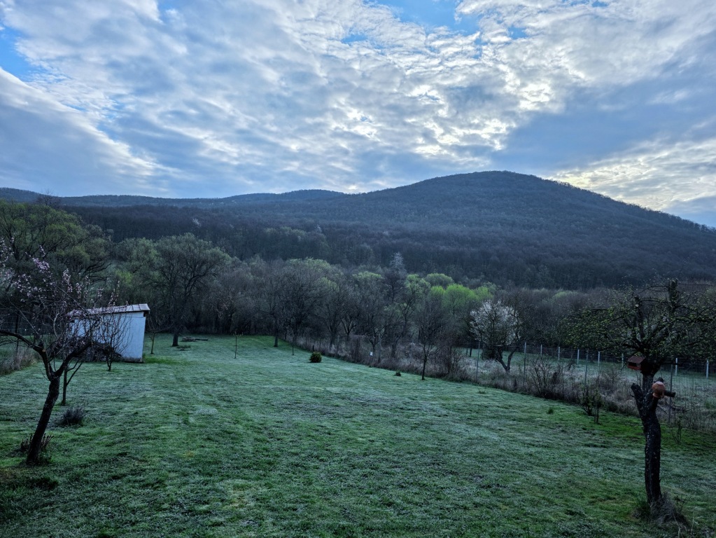 beillesztett kép