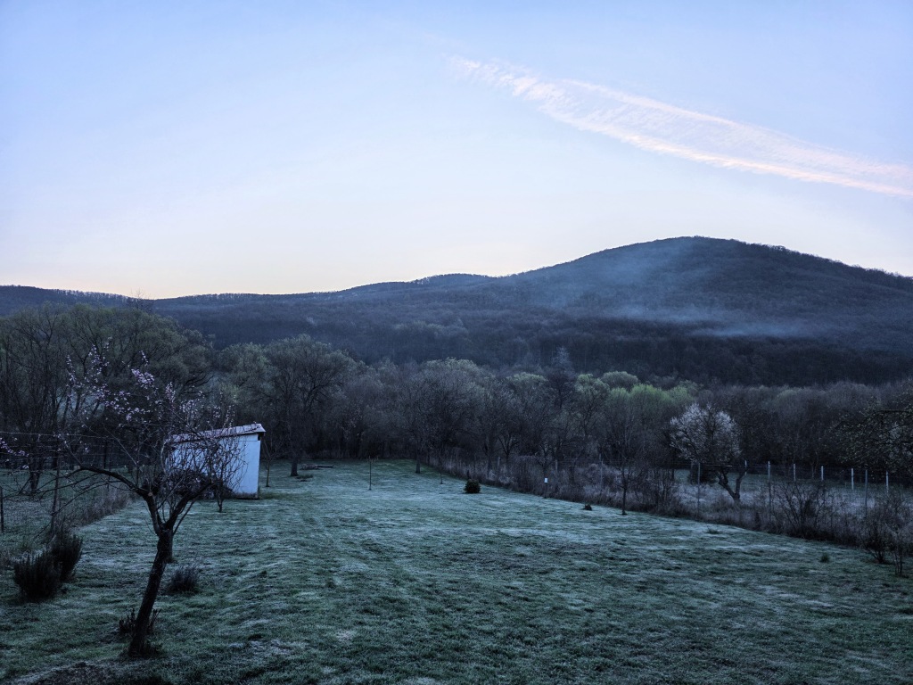 beillesztett kép