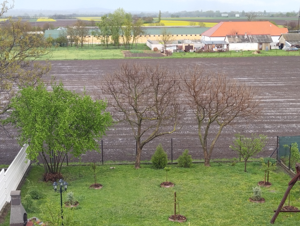 beillesztett kép
